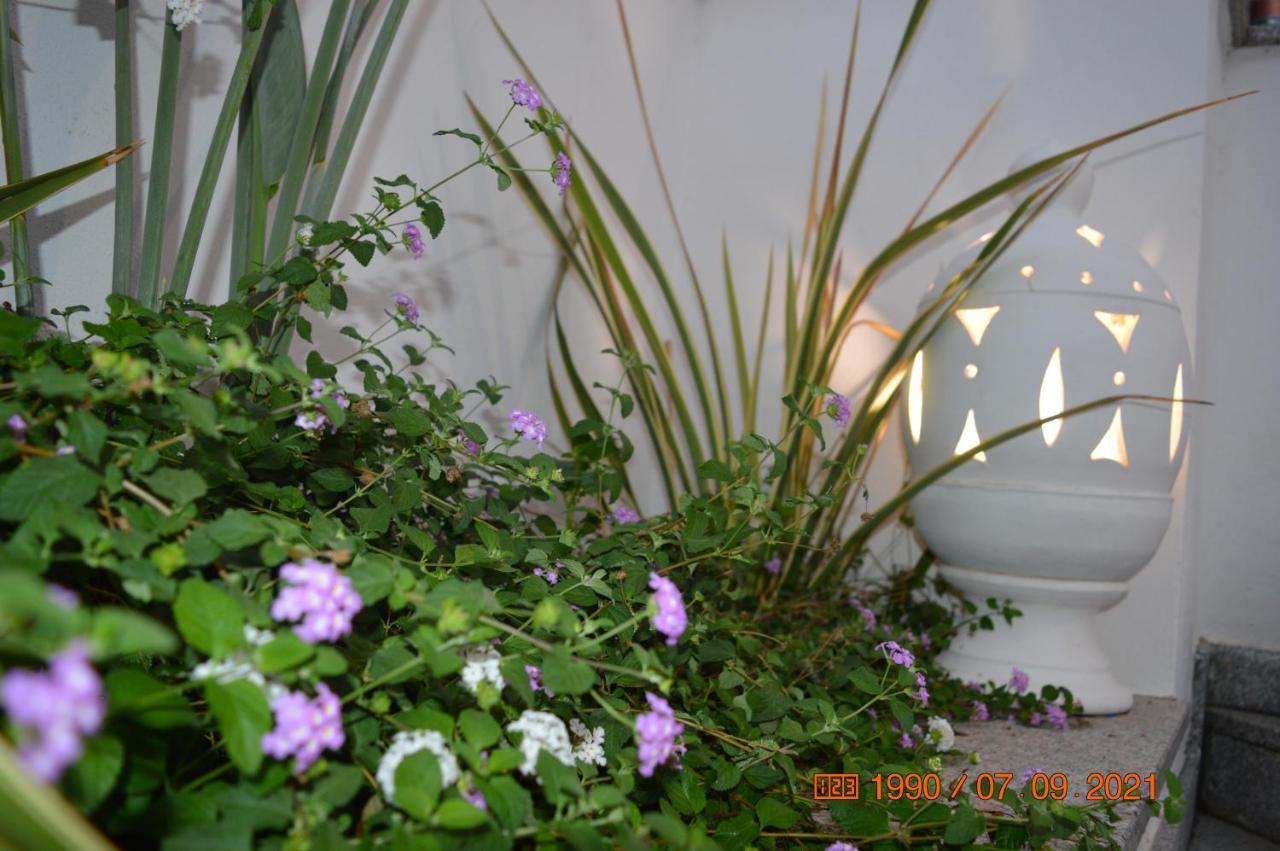 Bed And Breakfast Villa Tota Катандзаро Екстериор снимка